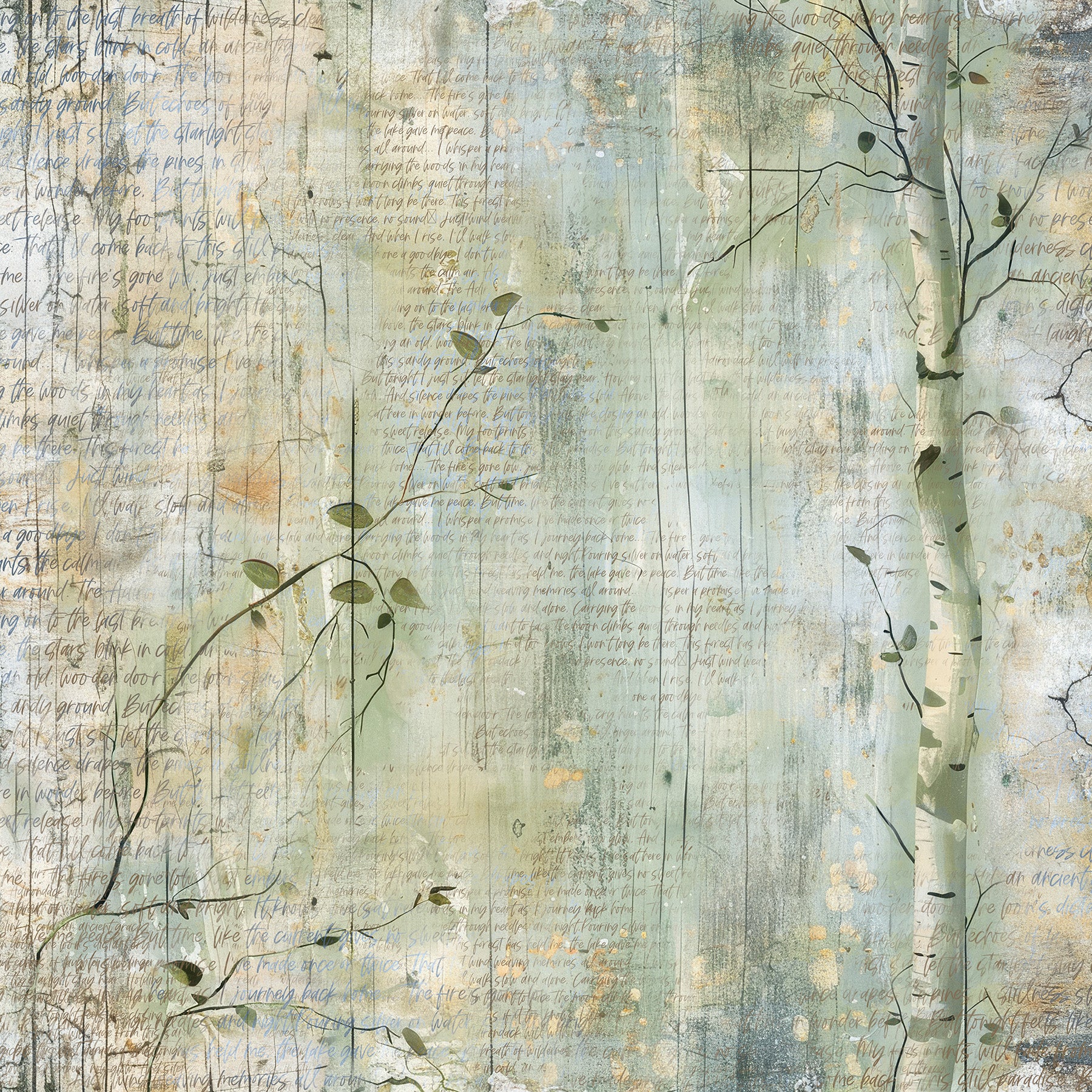 Northwoods 12x12 Assorted Paper Pack