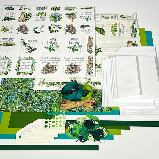 Rainforest Card Kit