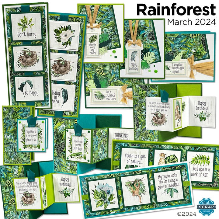 Rainforest Card Kit