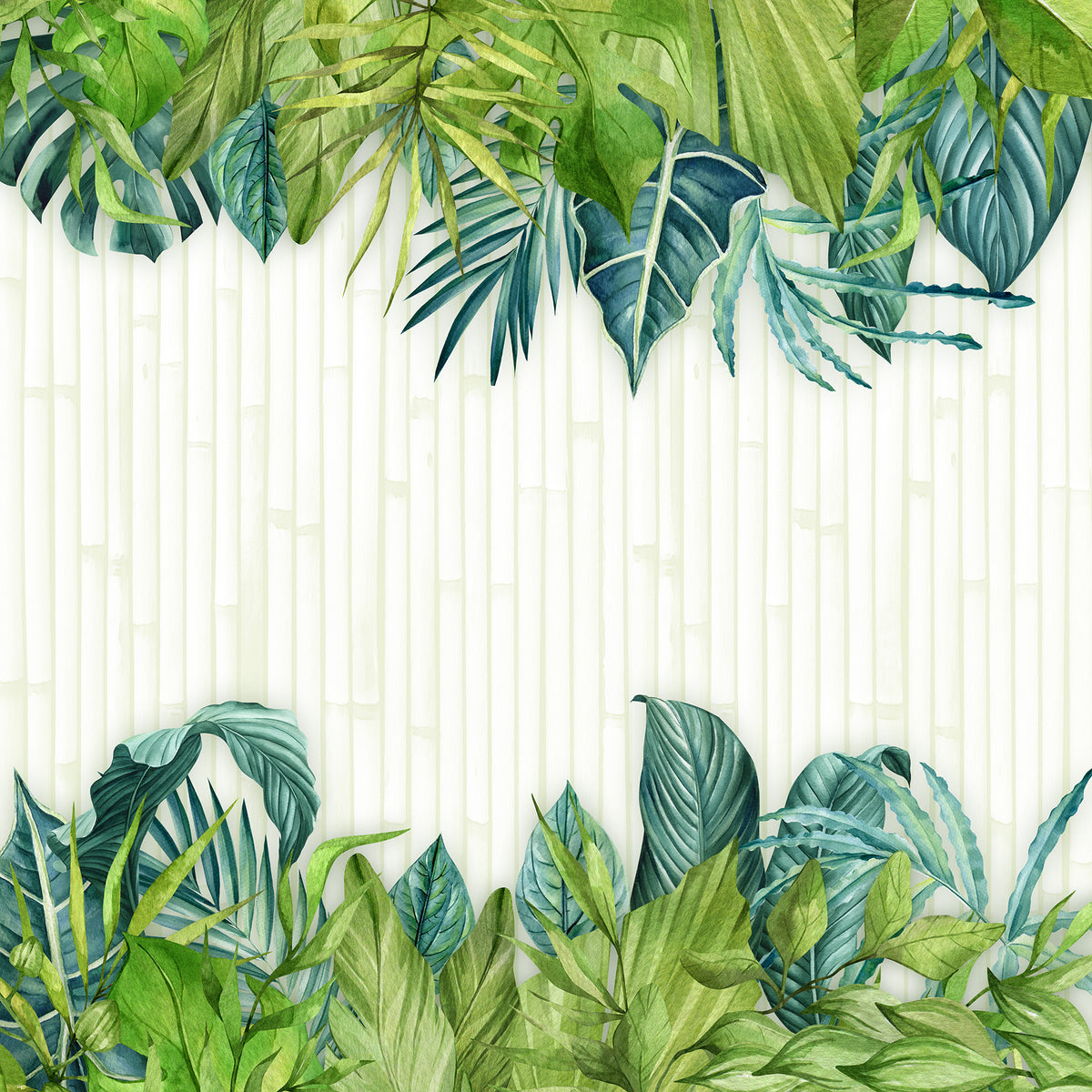 Rainforest 12x12 Assorted Paper Pack – Club Scrap