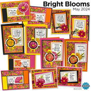 Bright Blooms Card Kit