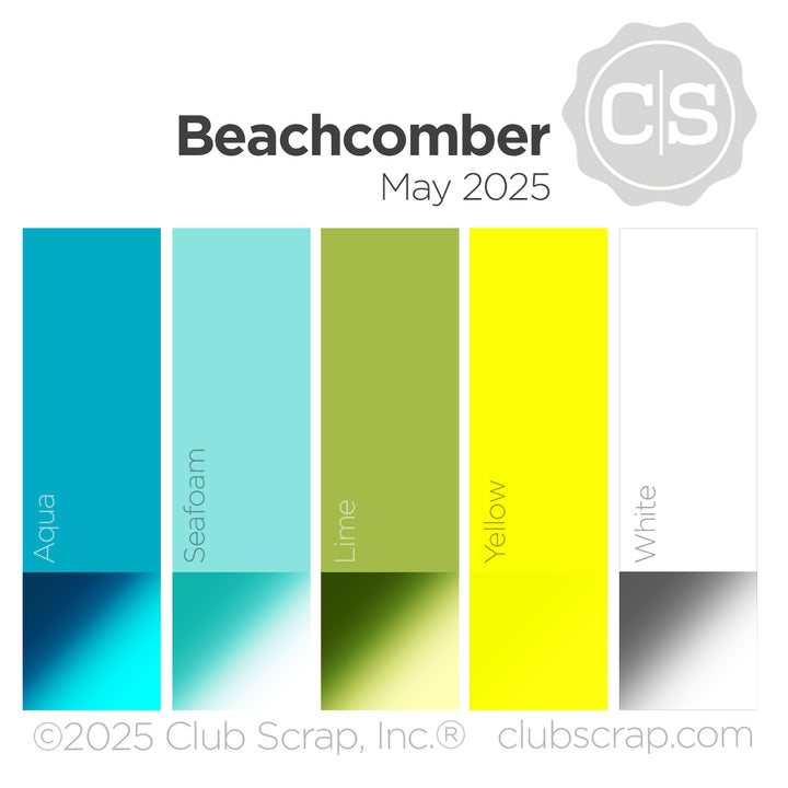 Beachcomber 12x12 Plain Paper