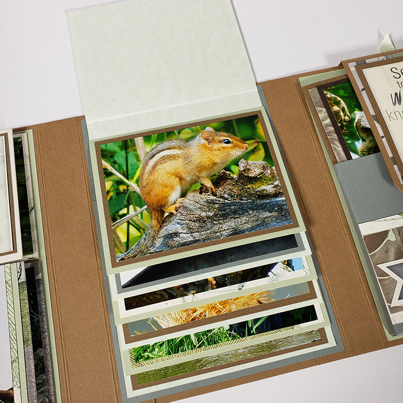 Twin Trifold Album Online Class