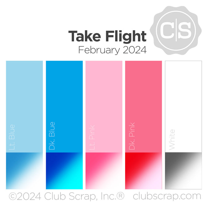 Take Flight 12x12 Plain Paper