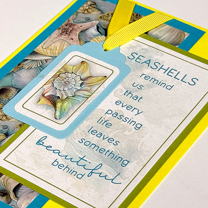 Beachcomber Aqua Tags