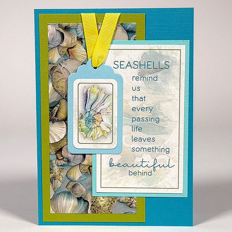 Beachcomber Aqua Tags