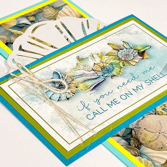 Beachcomber Laser Cut Shells