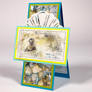 Beachcomber Laser Cut Shells