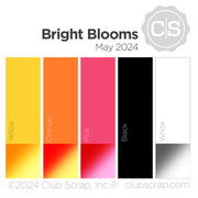 Bright Blooms 12x12 Plain Paper