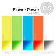 Flower Power 12x12 Plain Paper