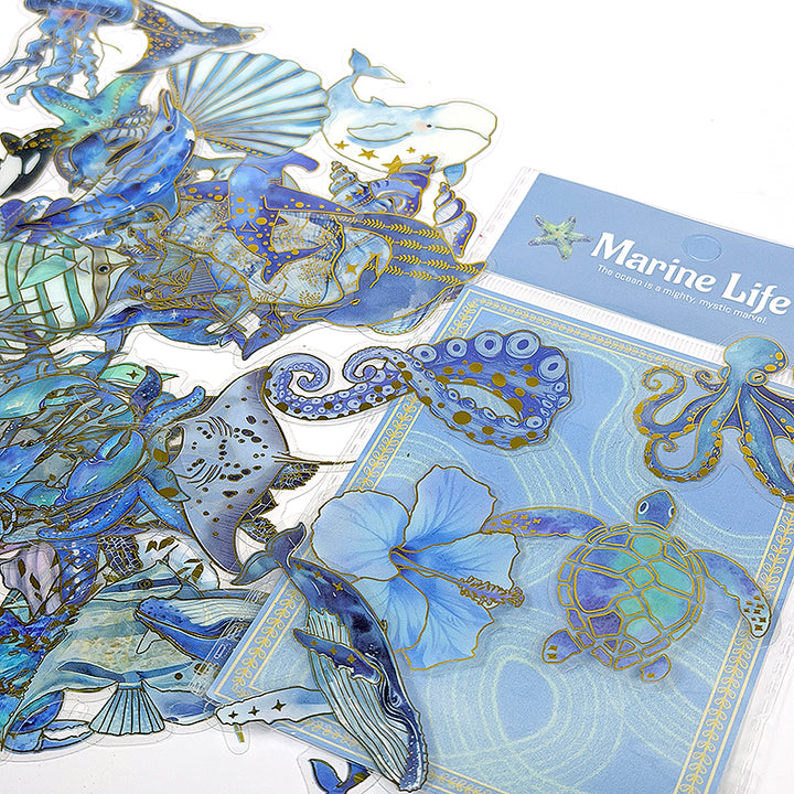 Sea Life Marine Stickers