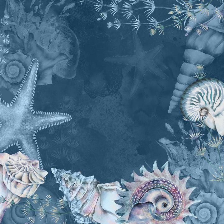 Sea Life 12x12 Shell Print