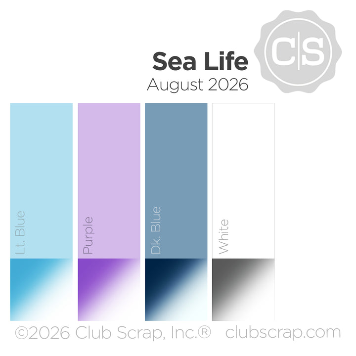 Sea Life 12x12 Plain Paper