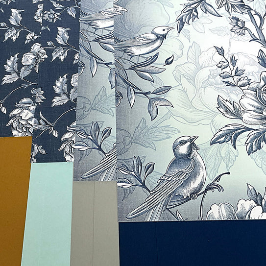 Toile 12x12 Assorted Paper Pack