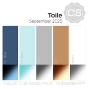 Toile 12x12 Plain Paper