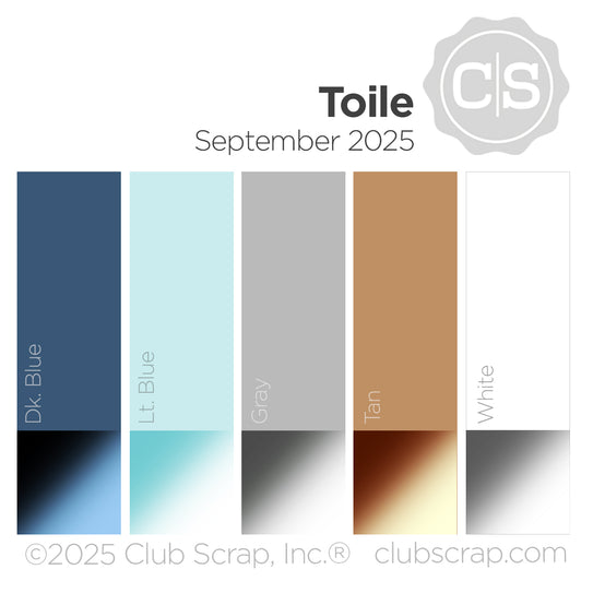 Toile 12x12 Plain Paper