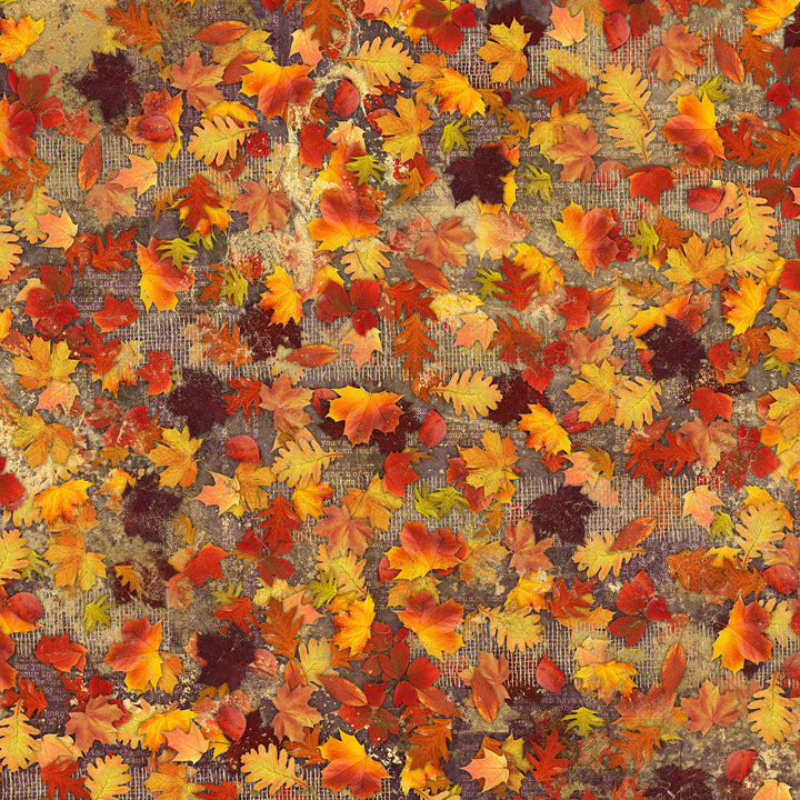 Autumn Glow 12x12 Card Print