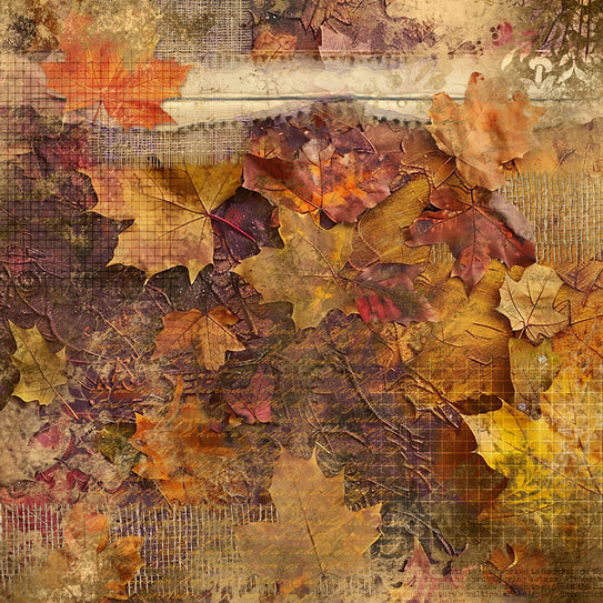 Autumn Glow 12x12 Small Leaf Print