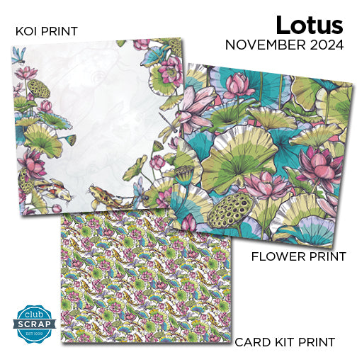 Lotus 12x12 Prints