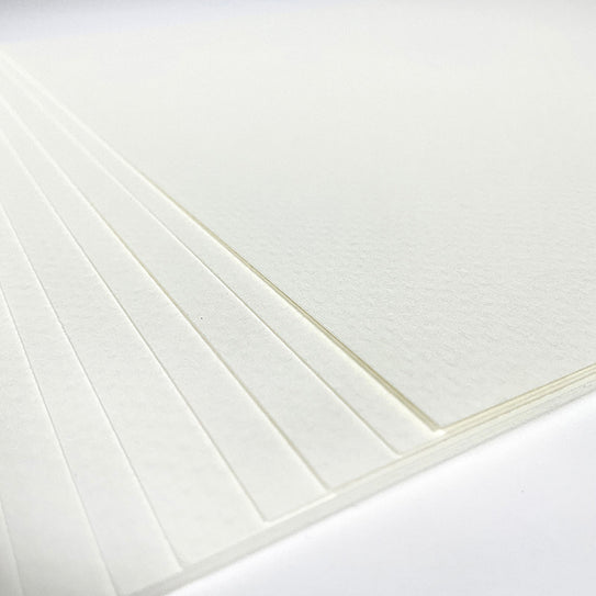 10 Pack of Paper - Gnome for Christmas Soft White