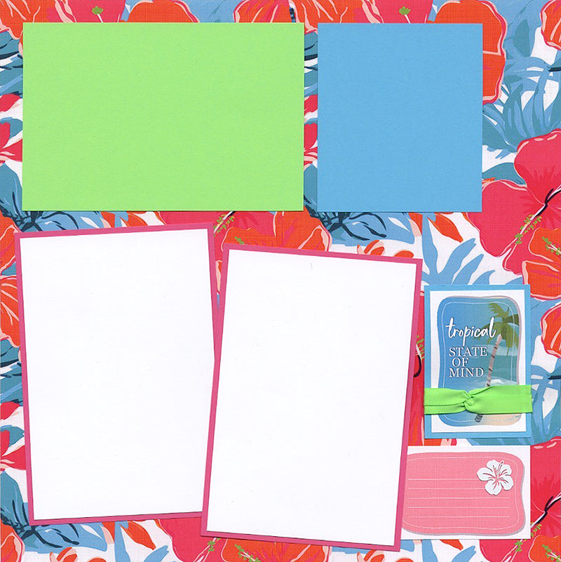 Splash 12x12 Hibiscus Print