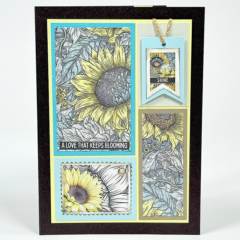 Sunny Fields Bonus Card Cutaparts