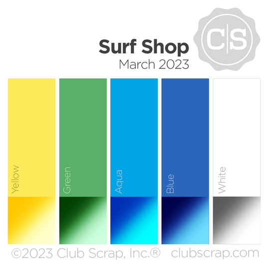 Surf Shop 12x12 Plain Paper